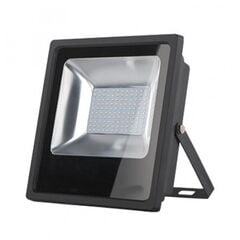 Spotlight Ledex 200w 6500k IP65 Black