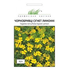 Tagetes seeds ELITSORT Signet limonnie melkocvetnie 0.2 g