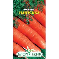 Carrot Seeds ELITSORT Nantskaia 2 g