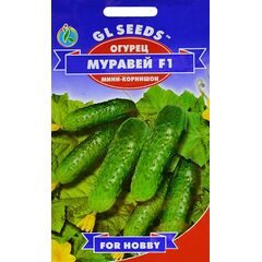 Seeds Cucumber GL SEEDS Ant F1 5 g