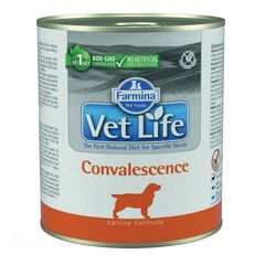 Dog food during convalescence Farmina Vet Life Convalescence 300 g