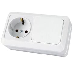 Switch with socket TDM 10 A 220 V