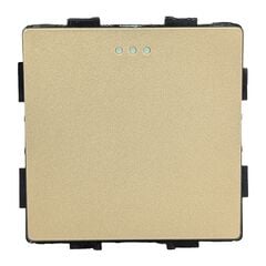 Switch Socket Style 1 1G-2W gold