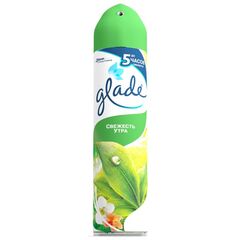 Aerosol air freshener SC Johnson Glade Morning freshness 300 ml