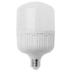 Лампа New Light LED T100 E27 30W 4000K