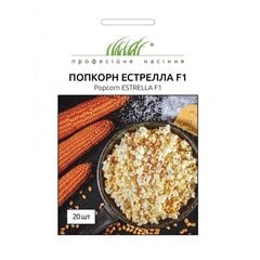 Corn seeds Elitsort Seeds estrella F1 20 pcs