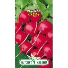 Radish seeds ELITSORT sora 3 g