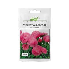 Flower seeds daisy Elitsort Seeds Robella salmon 10pcs