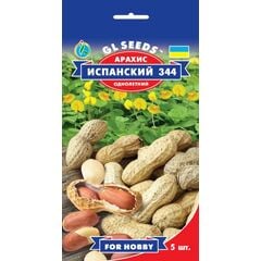 Peanut seeds GL Seeds spanish 5 pc.