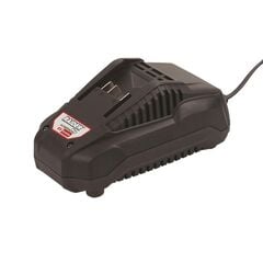 Battery charger Raider Rapid RDP-R20 20V