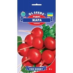 Radish seeds GL SEEDS Jara 4 g