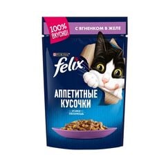 Jelly cat Felix lamb meat 75g