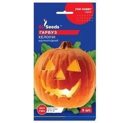 Pumpkin seeds Elitsort Seeds halloween 5 pcs