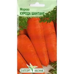 Carrot Seeds ELITSORT Kuroda Shantane 1 g