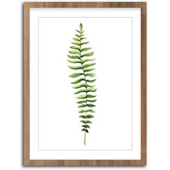 Picture in frame Styler Wooden Fern FR278 30X40 cm