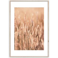 Картина в рамке Styler Grasses II AB079 50X70 см