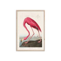 Картина на рамке Styler FP039 FLAMINGO 50X70