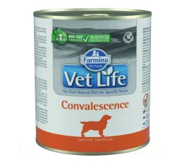 Dog food during convalescence Farmina Vet Life Convalescence 300 g