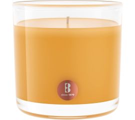 Candle in glass with aroma mango scent Bolsius 95/95