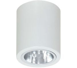 Point light Luminex Downlight round 7236 D11 1xE27 60W white