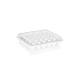 Container for storing eggs plastic PLAST ART yu-130 section 30