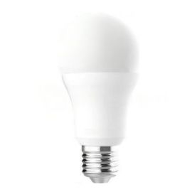 Lamp LED E27 15W 6500K Ledolet