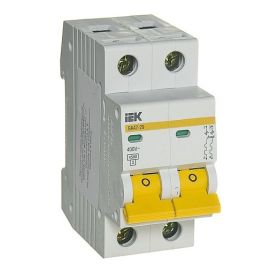 Circuit breaker IEK ВА47-29М 4,5kA 6A 2P C