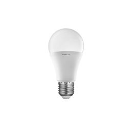 LED Lamp ERGOLUX 4500K 12W 172-265V E27