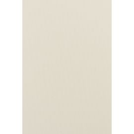 Curtain Delfa Termo Blackout SRSH-03-7900 130/170 cm white
