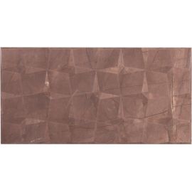 Tile EPICENTR K Pulpis Brown W M/STR 310x610 NR Glossy 1