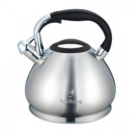 Чайник из нержавеющей стали Berllong BWK-0056 3.4 л