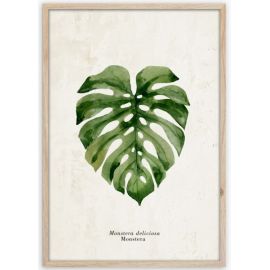 Picture in frame Styler Monstera FP037 50x70 cm