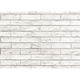 პანელი PVC VOX Profile Vilo D Loft Brick 25х265 сm