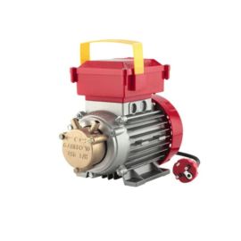 Electric pump Rover Pompe BE-M 10 HP 0.40 (0100 CE) 850050