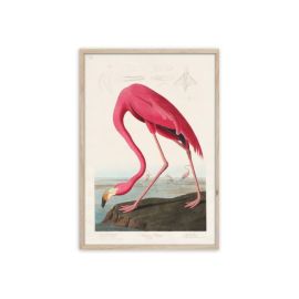 Picture in a frame Styler FP039 FLAMINGO 50X70