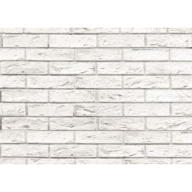 პანელი PVC VOX Profile Vilo D Loft Brick 25х265 сm