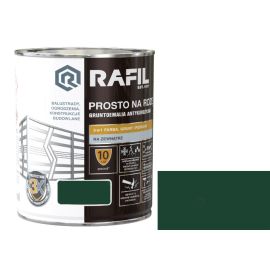 Enamel for rust Sniezka Rafil glossy green 2.5 l