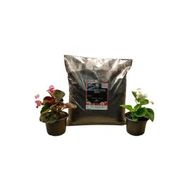 Flower land Green It 60 l