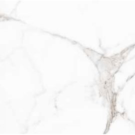 Tile Halcon Ceramicas Palatina BLANKO BRILLO 31,6*60