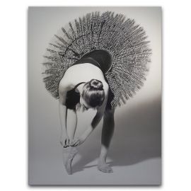 Picture on canvas Styler Balerina ST171 60X80 cm