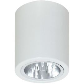 სანათი წერტილოვანი Luminex Downlight round 7236 D11 1xE27 60W თეთრი