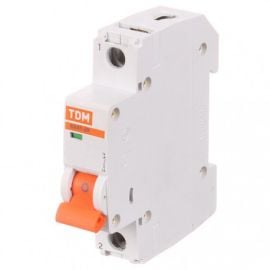 Circuit breaker ВА47-29 1Р 40А 4,5кА х-ка С TDM