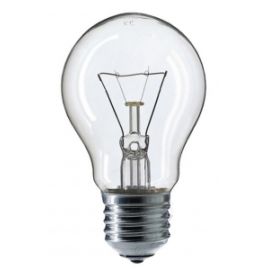 Лампа накаливания Linus Lin4-4227 PS55 100W E27