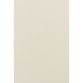 Curtain Delfa Termo Blackout SRSH-03-7900 180/170 cm white