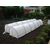 Agrofiber white 17g / m2 1.6x10m DSG +