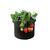 Fabric pot Smart Pot 124-01 3.9 l