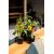 Flower pot Capi Europe Planter ball Groove textile 21,5x20cm black