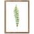 Picture in frame Styler Wooden Fern FR278 30X40 cm