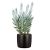 Ceramic flower pot Scheurich 900/24 Ebano 24x21.6 cm