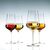 Glass of red wine Schott Zwiesel 22,8cm 486ml FINE 65248